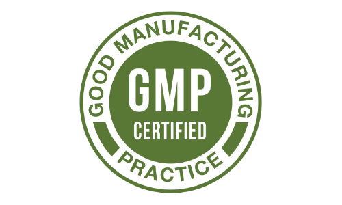 RingZen6 GMP
